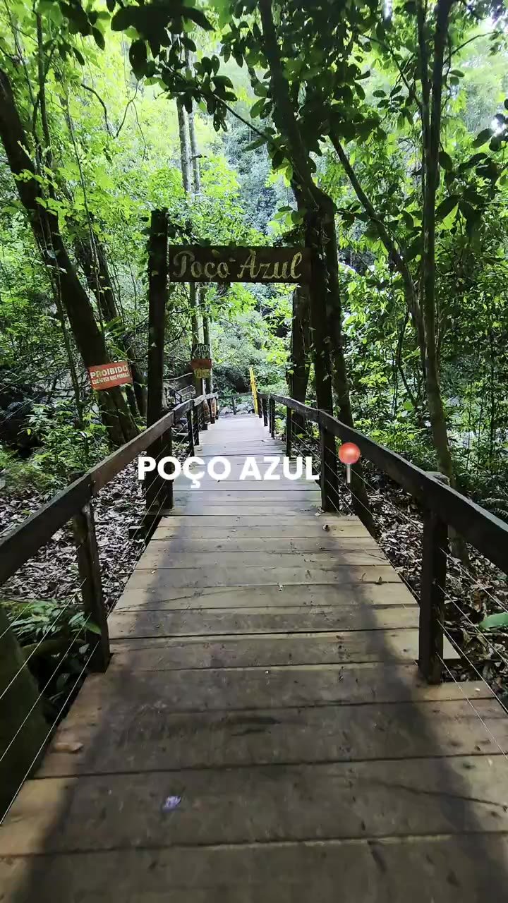 Passarela de madeira em meio à mata do Poço Azul
